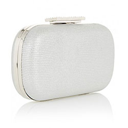 METALLIC-CLUTCH-R224