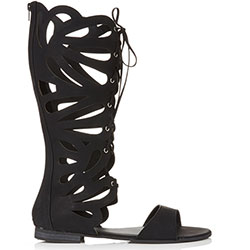 click to shop